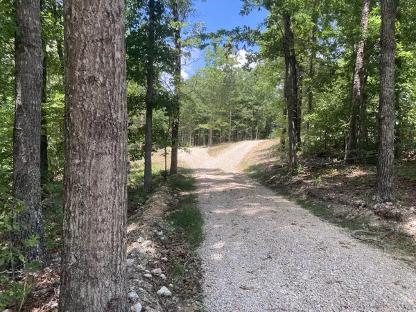 000 County Road 309/ Lot 3, Eminence, MO 65466