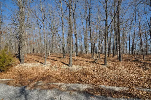 Lot 28 Palomino Drive, Ozark, MO 65721