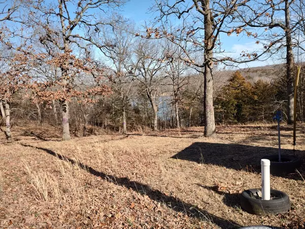 Pittsburg, MO 65724,000 Reynard'S Circle #Lot 12