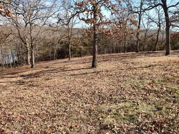 Pittsburg, MO 65724,000 Reynard'S Circle #Lot 12