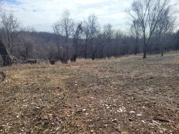 Lot 5 Songbird Road, Washburn, MO 65772