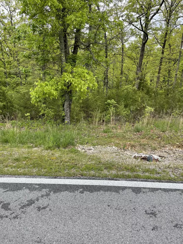 Branson West, MO 65737,Lot # 3 Fox Hollow Road