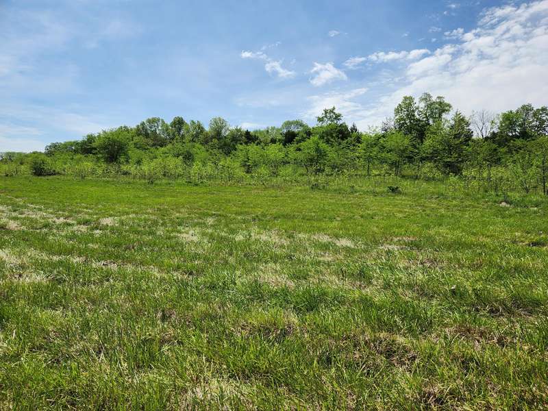 000 River Pass Drive Lot 4 Phase 1, Marshfield, MO 65706