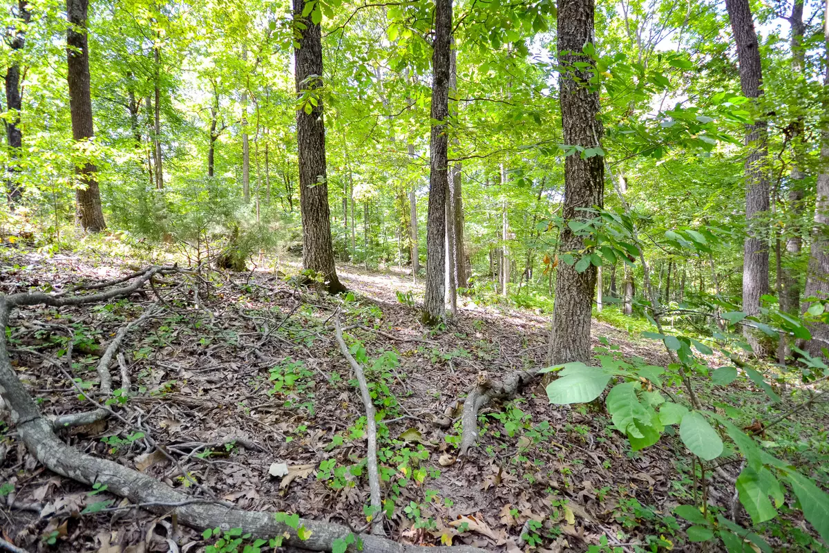 Cassville, MO 65625,000 Autumn Estates Subdivision  #Lot 20