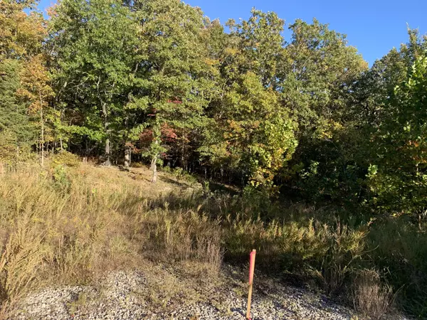 Lot 47 Azalea Road, Merriam Woods, MO 65740