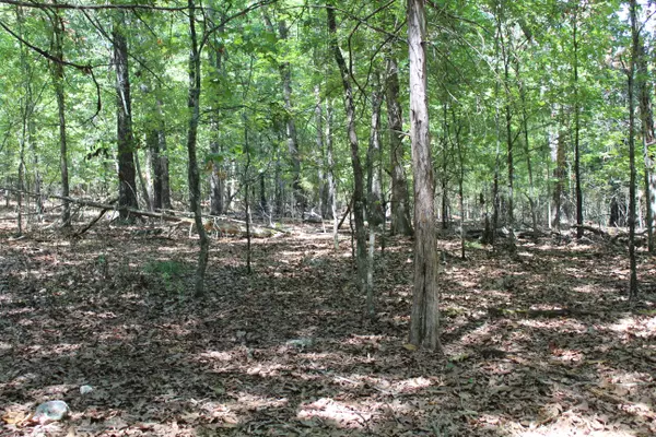 Protem, MO 65733,000 Lakeview Court #Lot 17