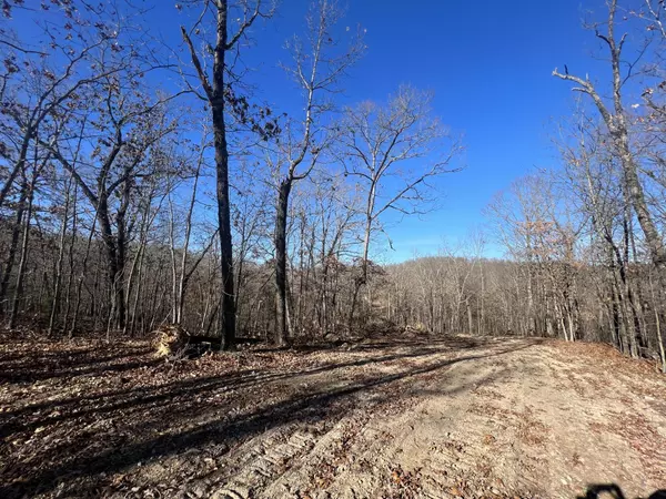 Mountain Grove, MO 65711,000-C Gravel Point Road