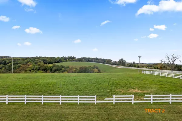 Tract 2 Us Highway 160, Walnut Shade, MO 65771