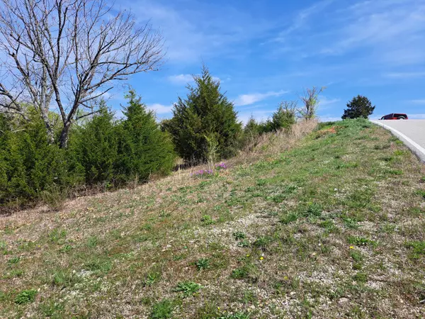 Lot 287 Gemstone Drive, Branson West, MO 65737