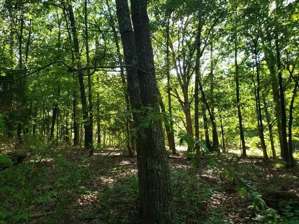 Mountain Grove, MO 65711,000 Highway Ae