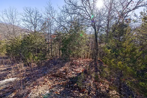 Ridgedale, MO 65739,Lot 5 Terrace Drive