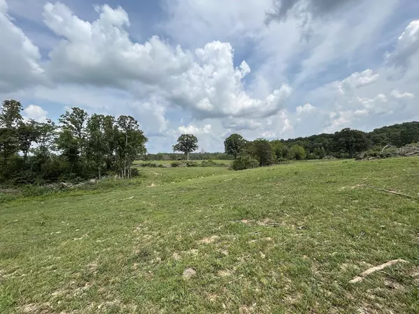 Thayer, MO 65791,000 Private Road 63-91