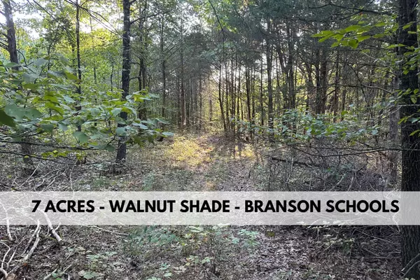 Walnut Shade, MO 65771,Lot 2 Round Mountain Road