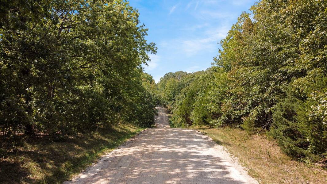 000 Bear Hollow Lane, Fordland, MO 65652