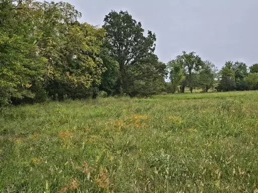 Bolivar, MO 65613,Lot 13 East 420th Road