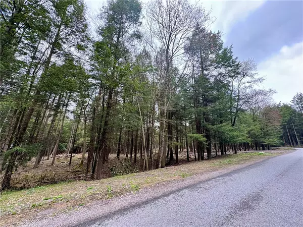 Central City, PA 15926,Lot 248 Peninsula Dr.