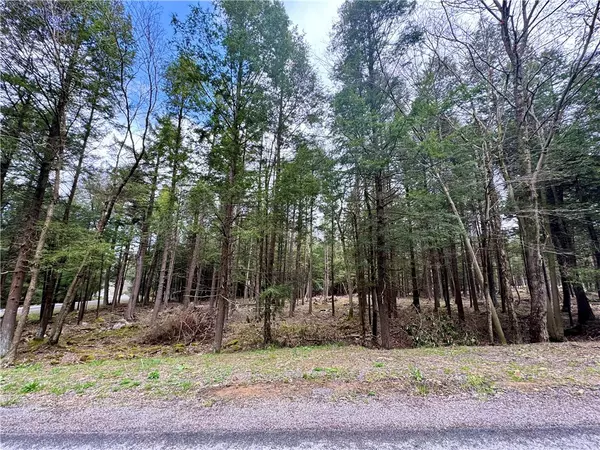 Central City, PA 15926,Lot 248 Peninsula Dr.