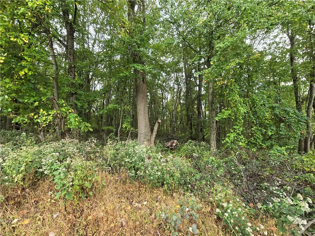 Long Branch, PA 15423,000 Lot 22 Dally Road