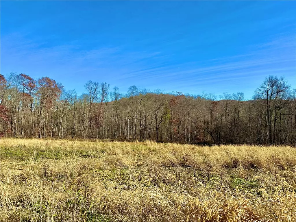 Clymer, PA 15728,Lot #2 Spruce Grove Rd