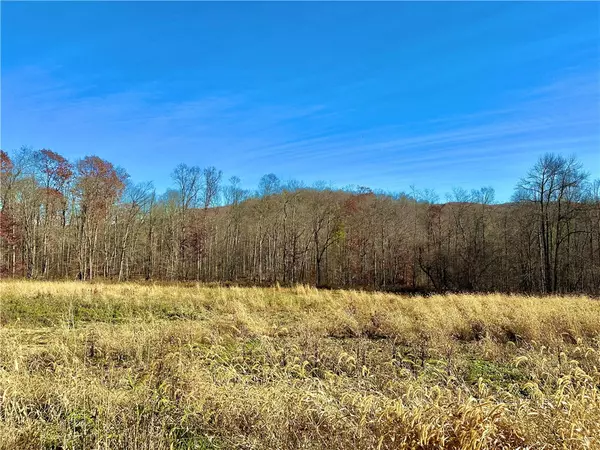 Lot #2 Spruce Grove Rd, Clymer, PA 15728