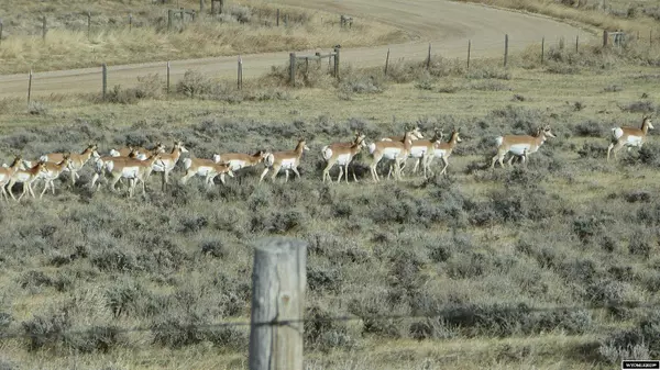 Buffalo, WY 82834,10 Peak View Dr