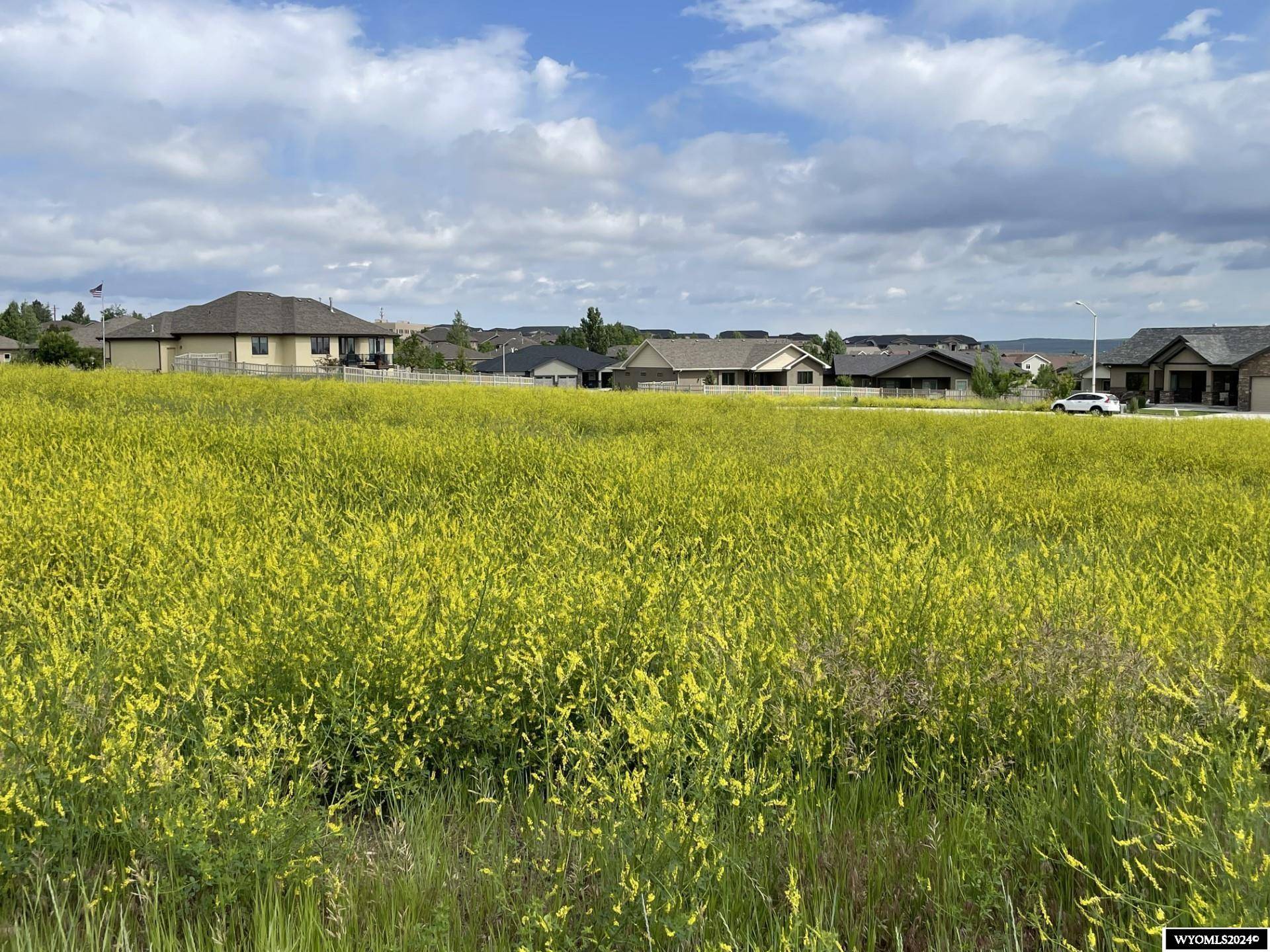 Casper, WY 82609,1066 Townsend Ln