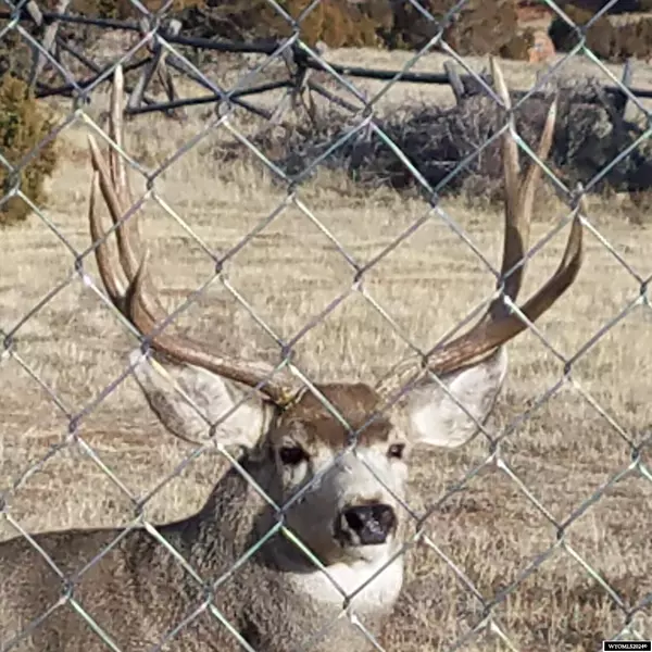 Lander, WY 82501,85 North Fork Rd