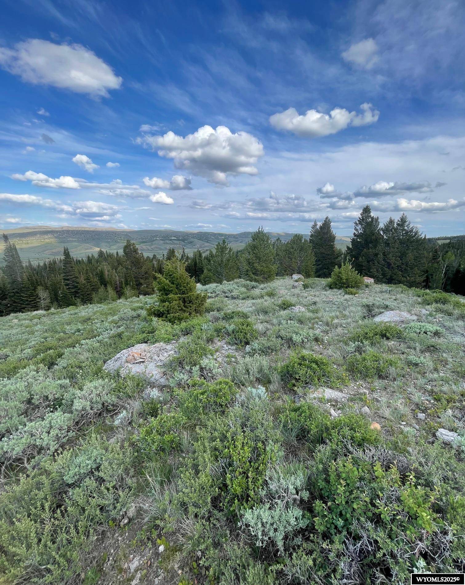 Kemmerer, WY 83101,Brown Trout Drive