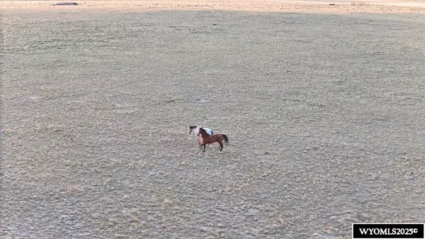 Medicine Bow, WY 82329,84a Nine Mile Road
