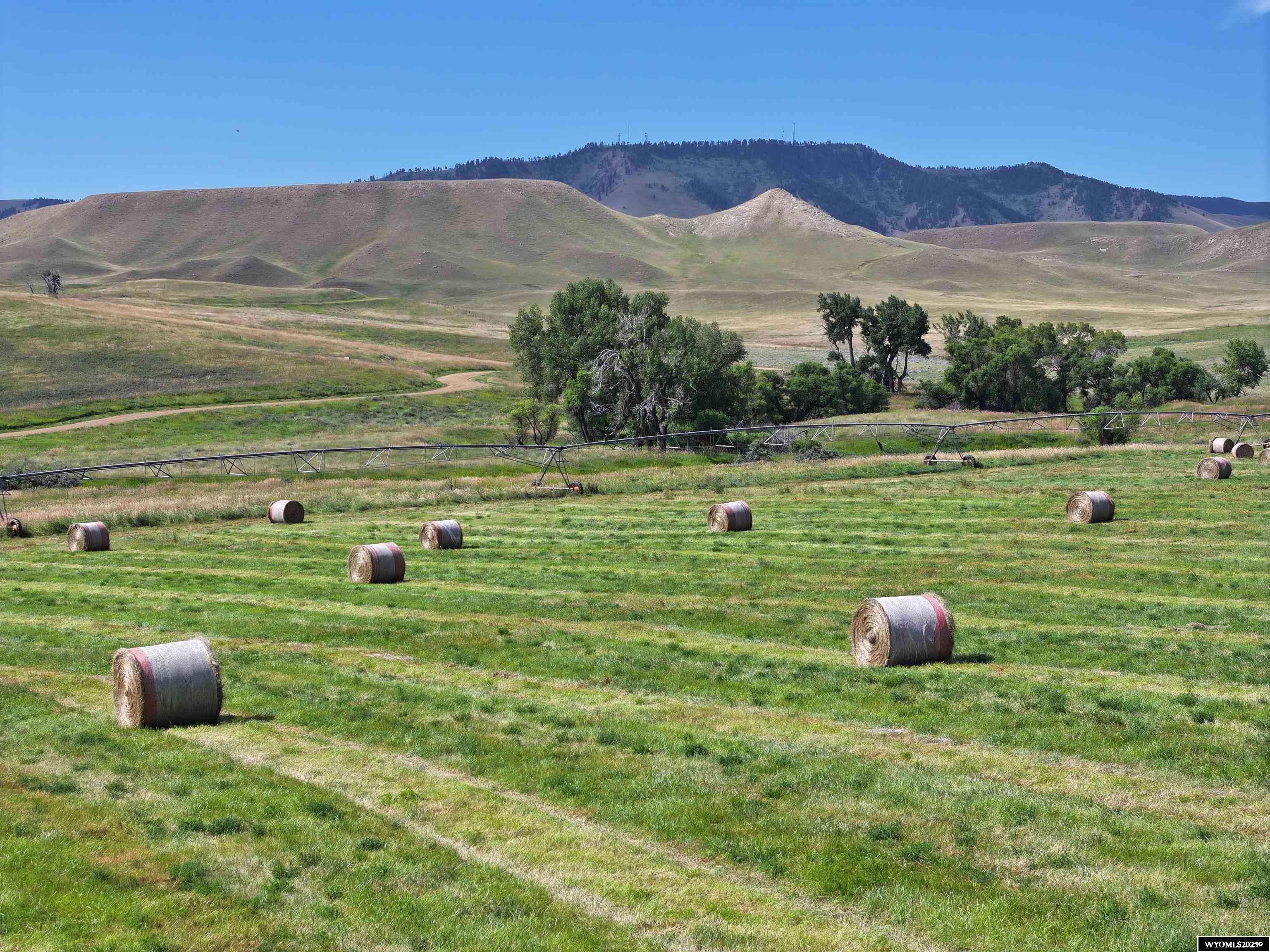 Buffalo, WY 82834,77 Sand Creek Ranch Road