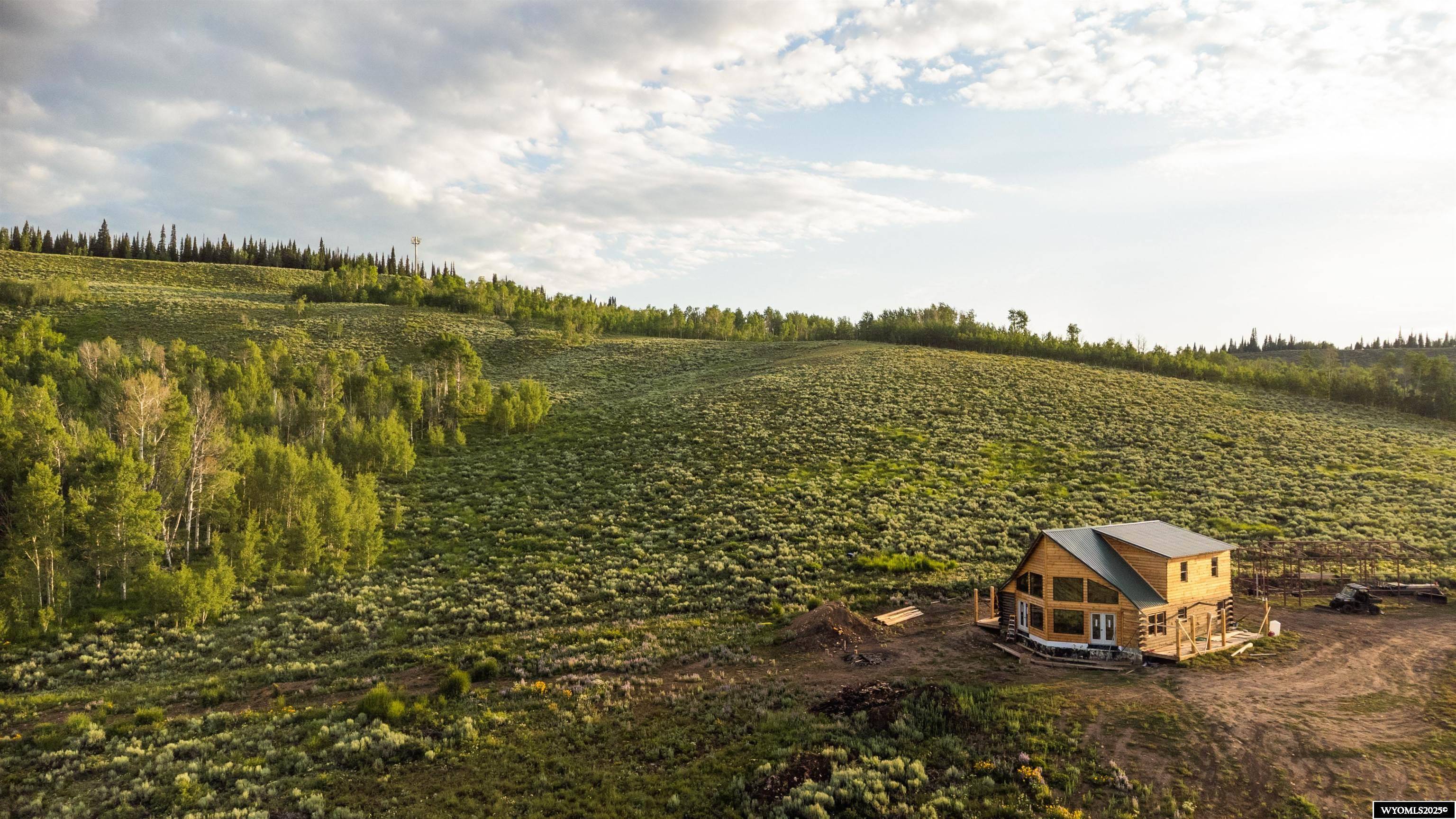 71 Sterling Dr, Daniel, WY 83115