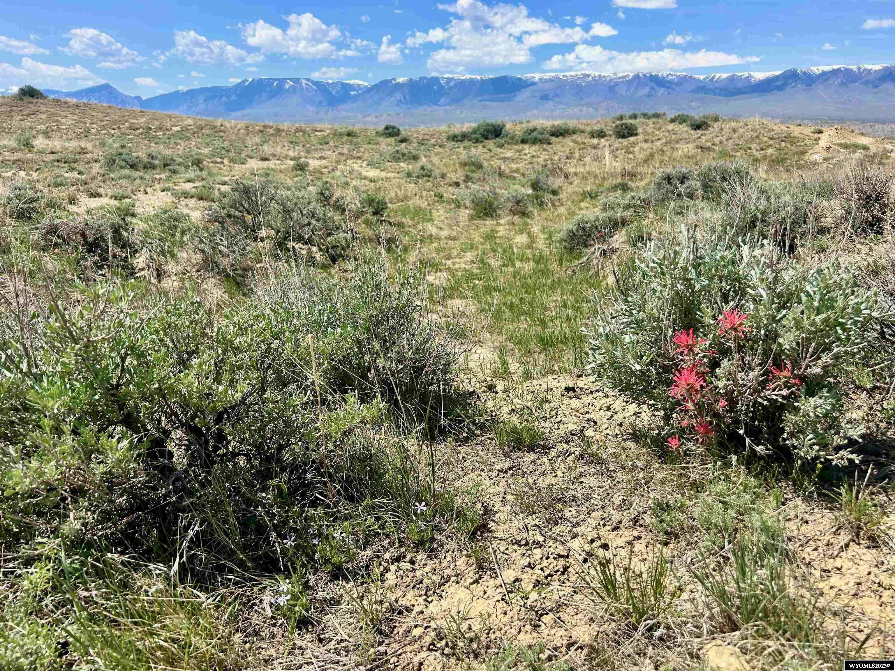 Clark, WY 82435,55 Woodland Tr