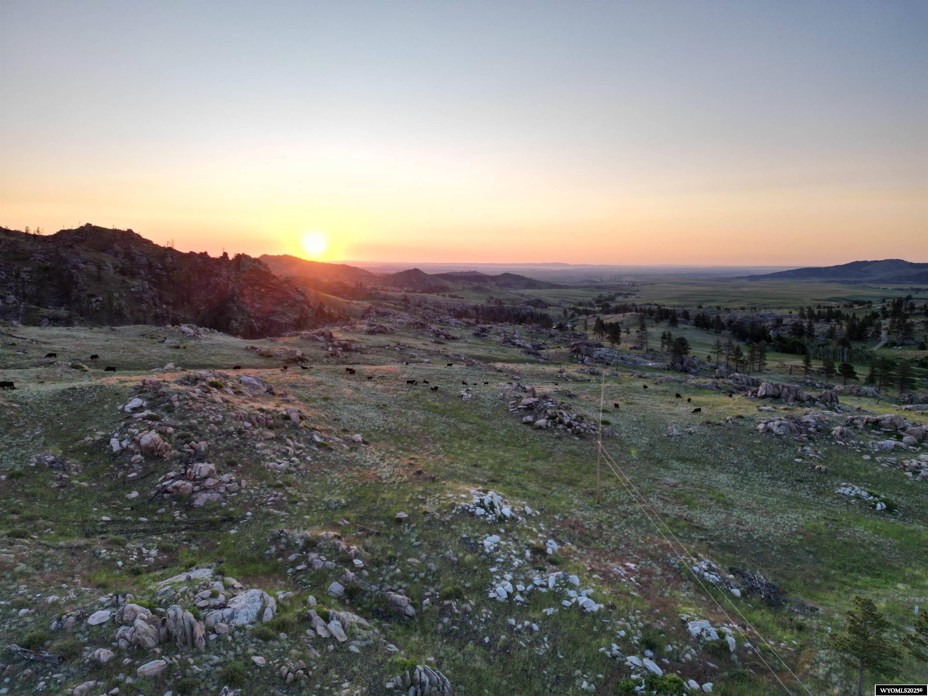 1154 Fish Creek Rd, Wheatland, WY 82201-9999
