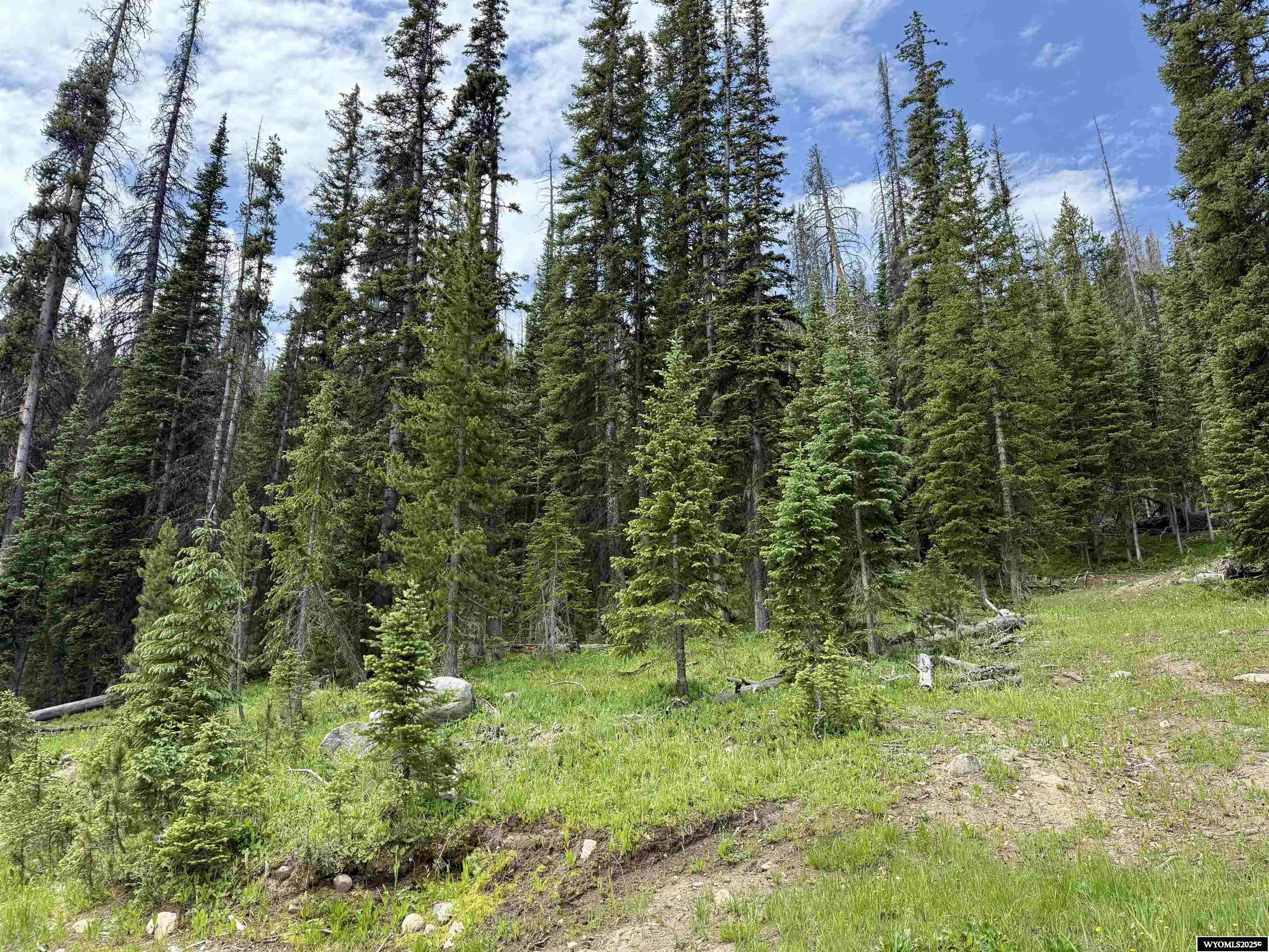 48 Overlook Retreat, Elk Mountain, WY 82324