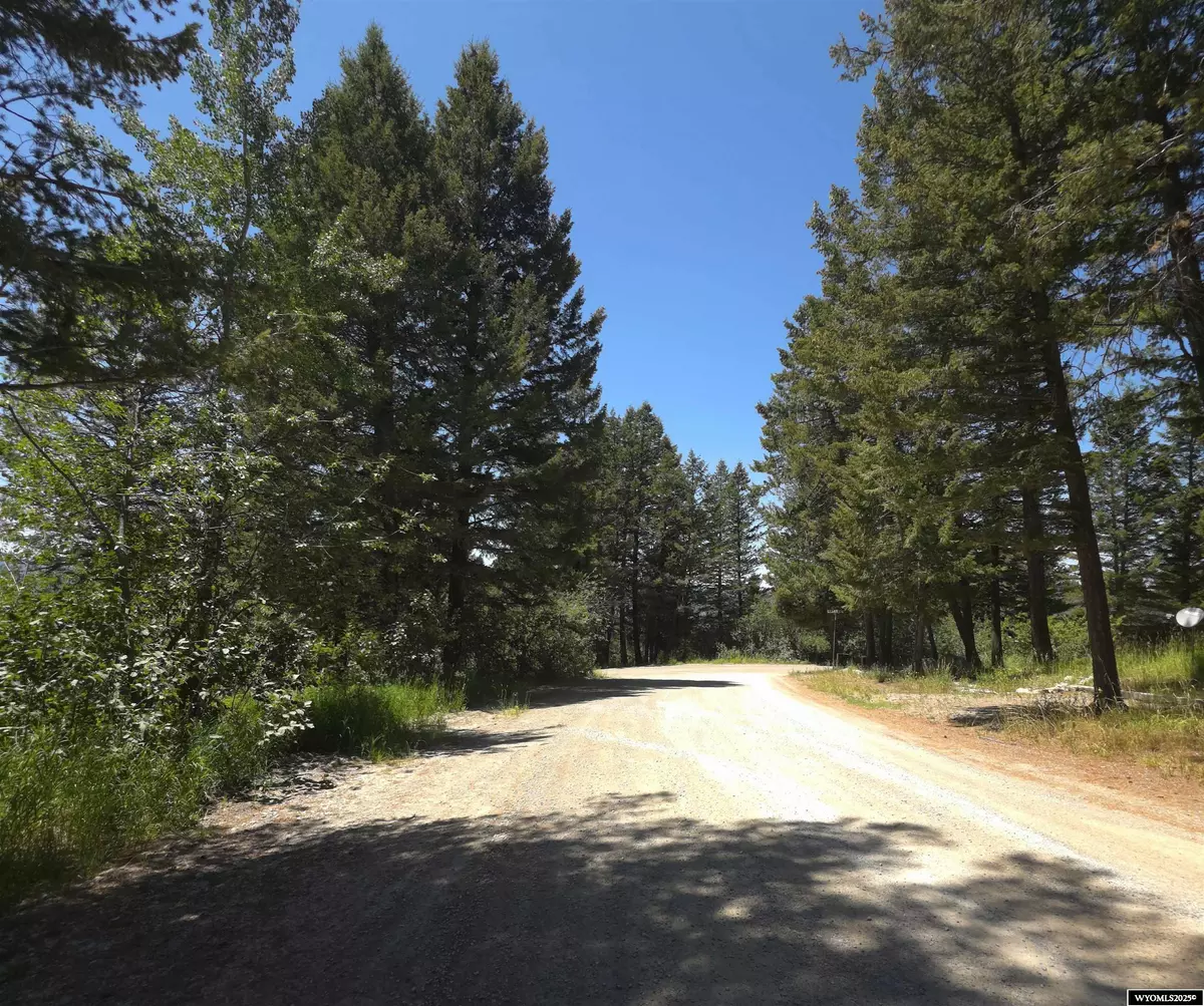 Star Valley Ranch, WY 83127,33 Spurwood Dr
