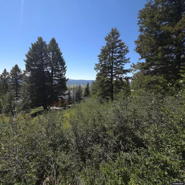 Star Valley Ranch, WY 83127,33 Spurwood Dr
