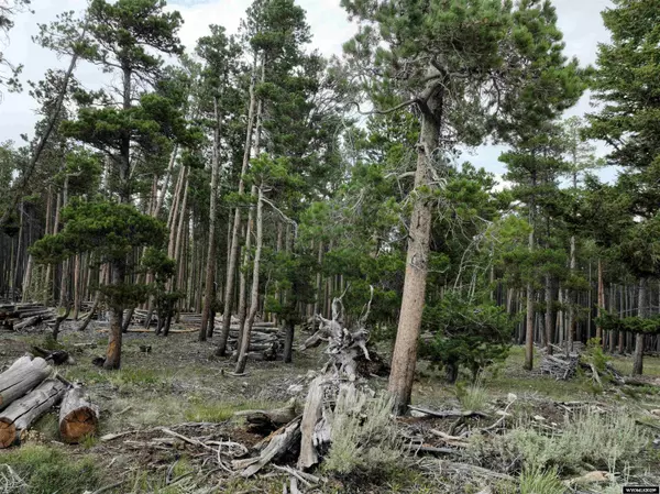 Lander, WY 82520,Tract 7 Heather Lane