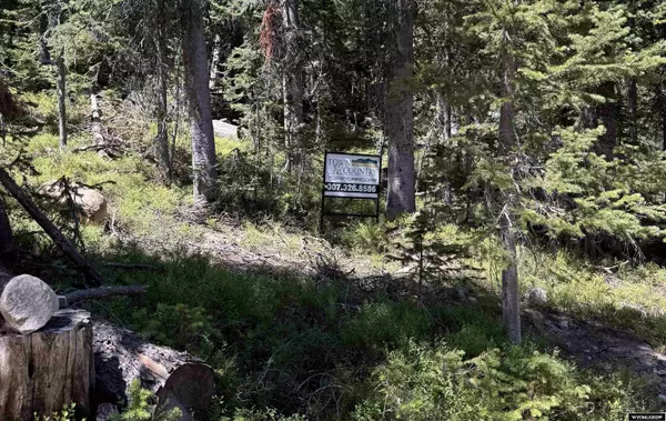 Tract 49 Overlook Retreat, Elk Mountain, WY 82324