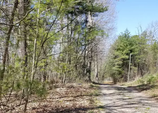 Barren Springs, VA 24313,TBD Lot 75 Bertha Farm RD