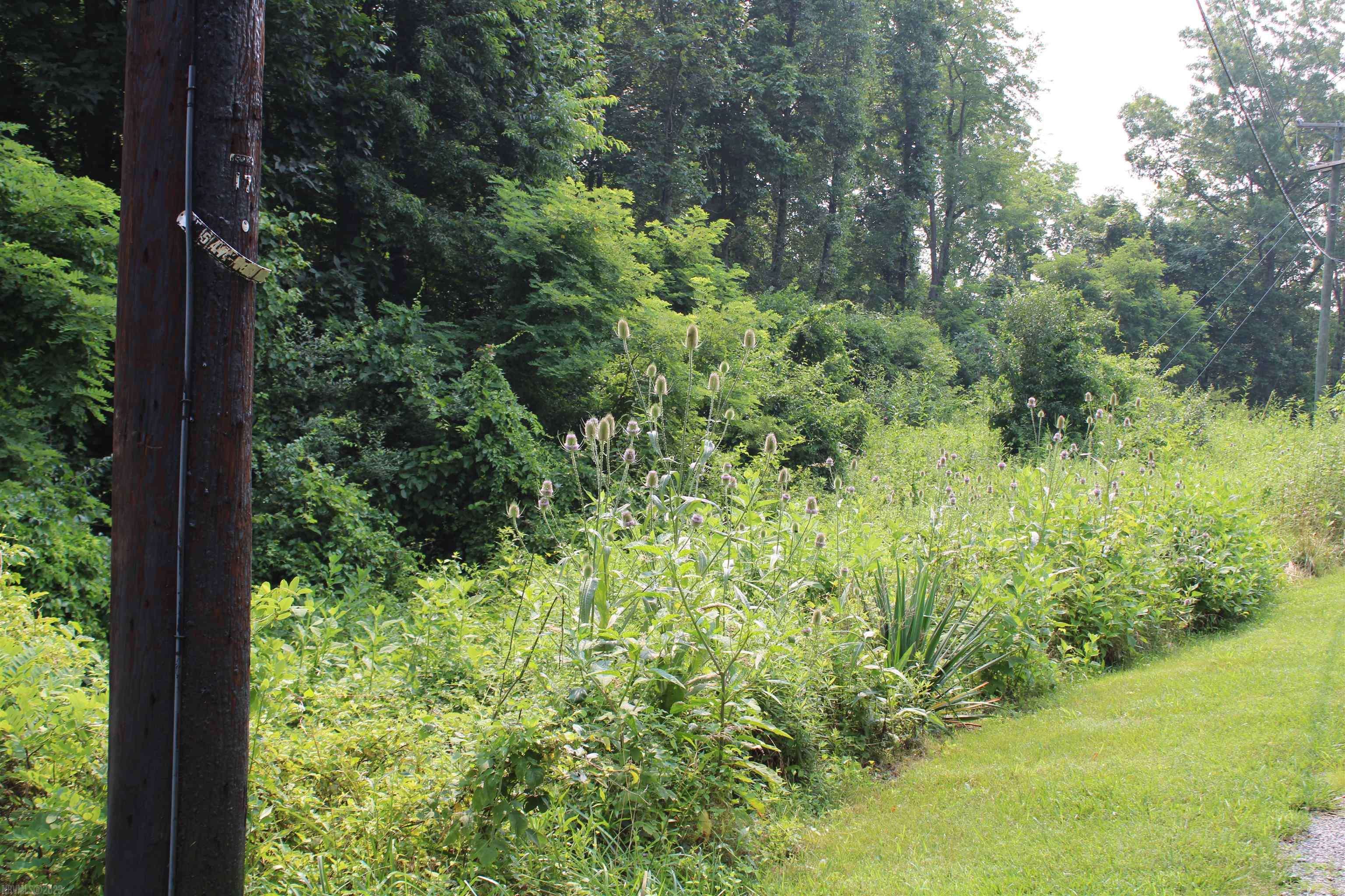 Pulaski, VA 24301,TBD Craig Loop LOOP