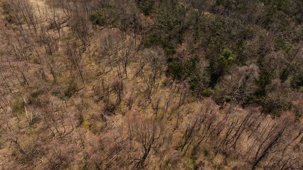 TBD Grandview DR, Meadows Of Dan, VA 24120
