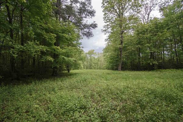 TBD Keno RD, Laurel Fork, VA 24352