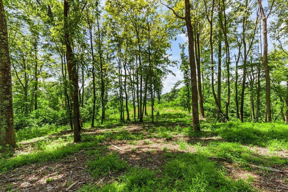 TBD Baptist Hollow RD, Hiwassee, VA 24347