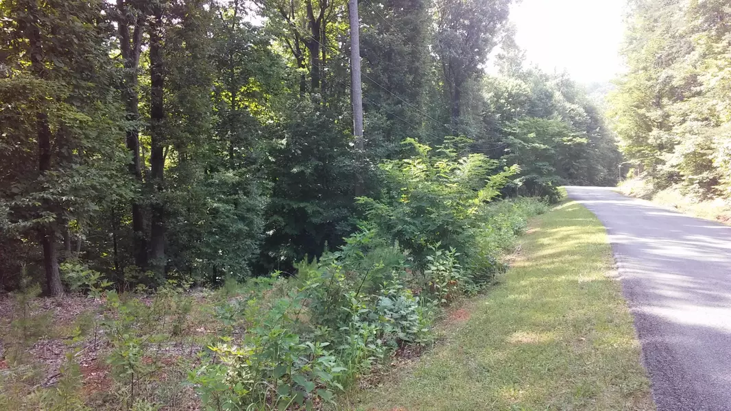 Lot 65 GAP BRIDGE RD, Moneta, VA 24121