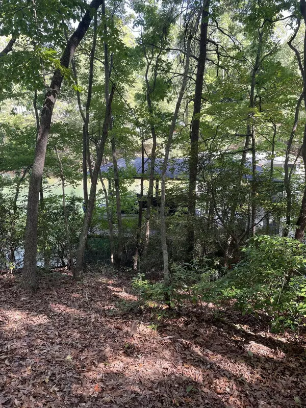 Penhook, VA 24137,LOT 23 MOUNTAIN VISTA DR