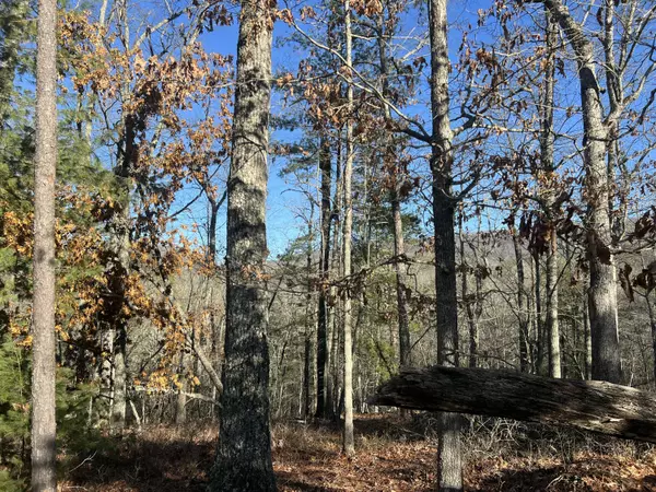 New Castle, VA 24127,Lot 45 Black Diamond DR