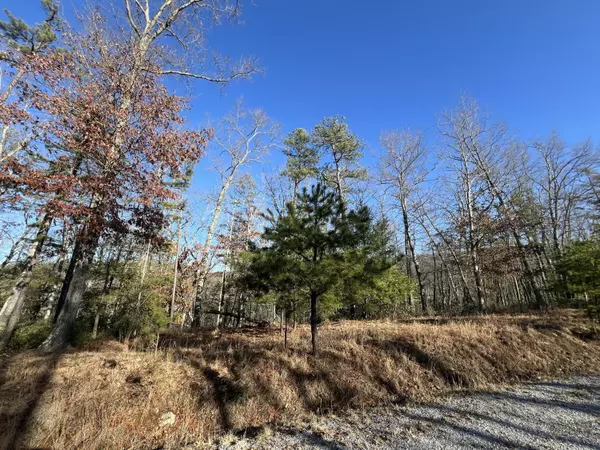 New Castle, VA 24127,Lot 45 Black Diamond DR