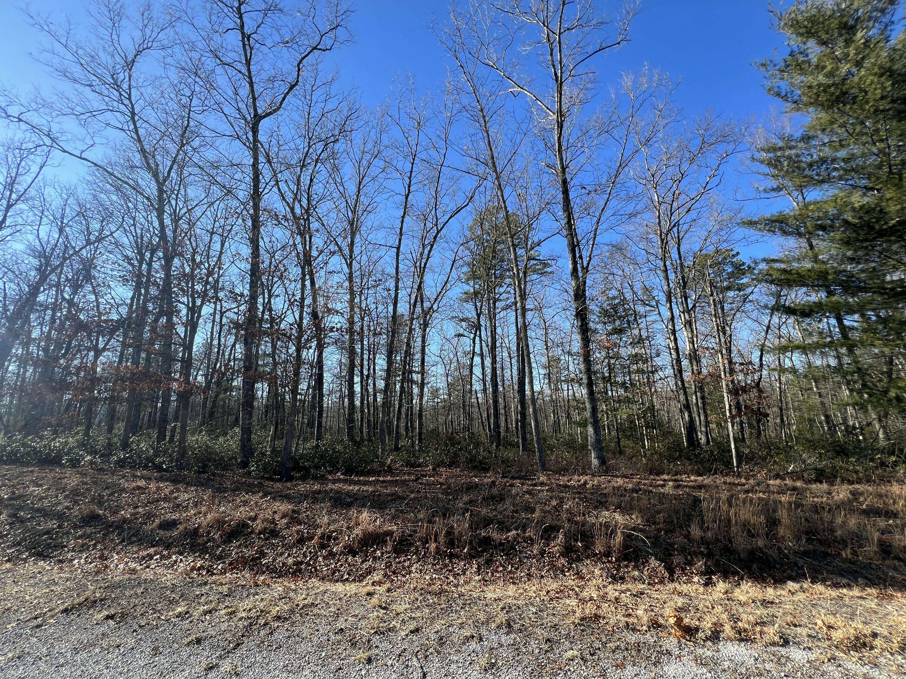 New Castle, VA 24127,Lot 52 Black Diamond DR