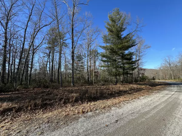 New Castle, VA 24127,Lot 52 Black Diamond DR