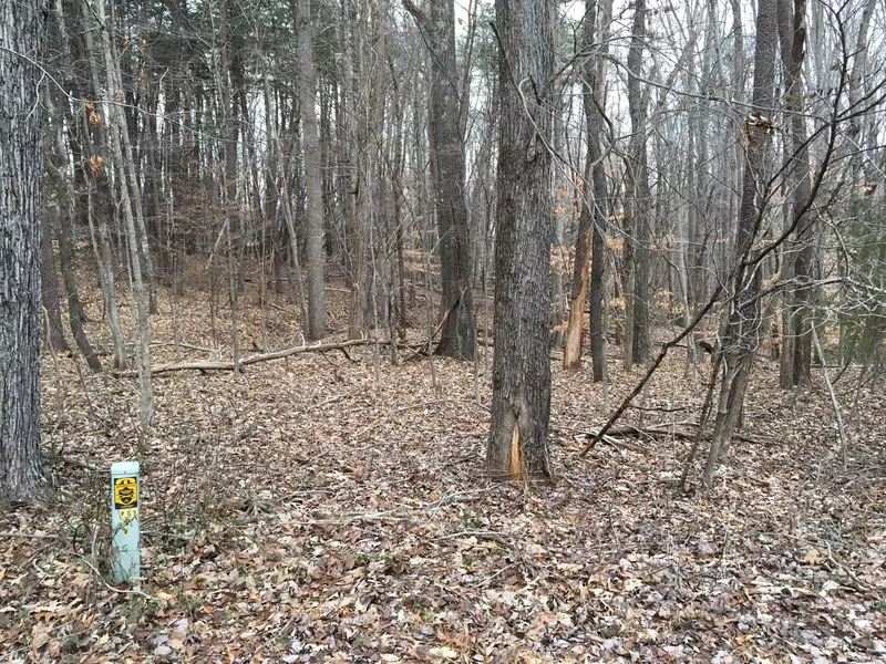 Lot 51-A Middlecreek CT, Moneta, VA 24121